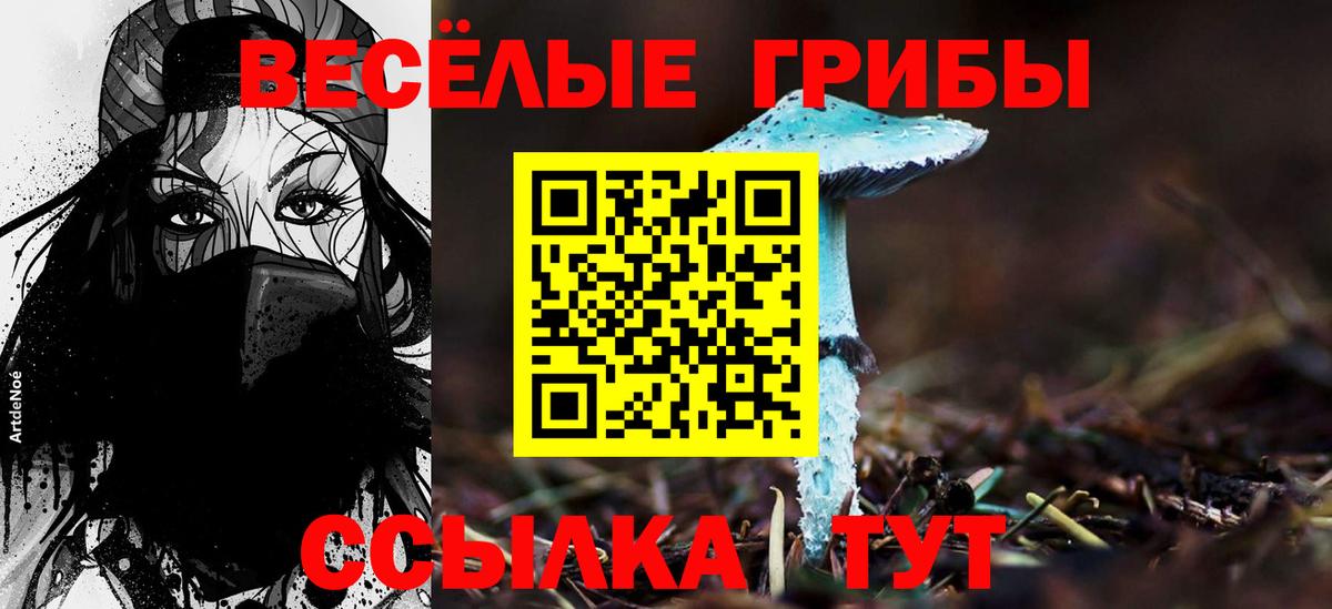Галлюциногенные грибы Psilocybe  Галлюциногенные грибы MAGIC MUSHROOMS  Обнинск  Вход с VPN 